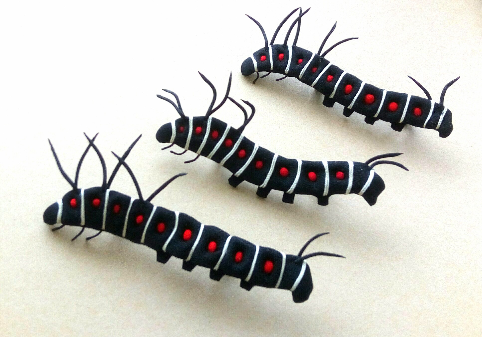 オオゴマダラ 幼虫 うつくしい昆虫布図鑑